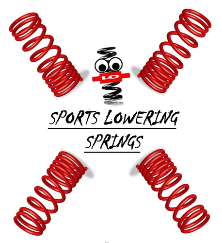 Lowering springs for skoda - for,
