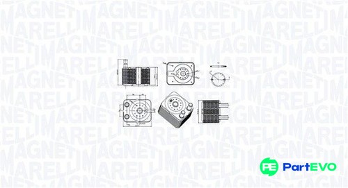 Magneti marelli engine oil - marelli,